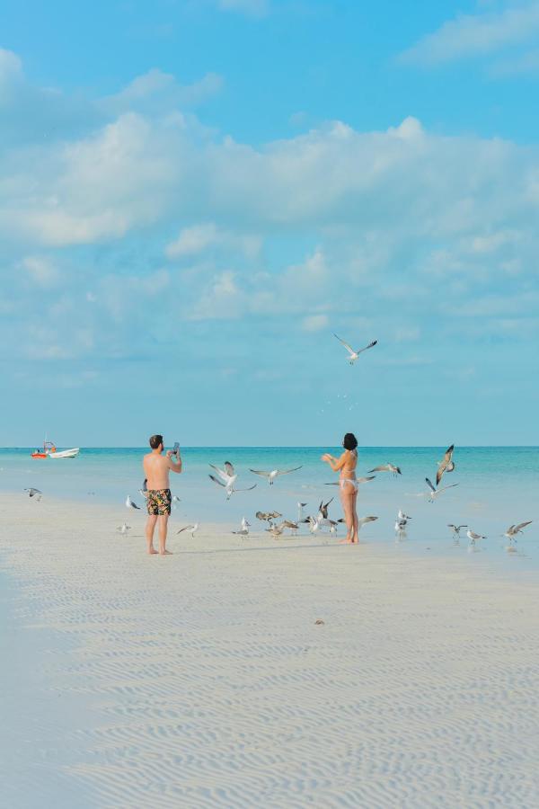Villas El Encanto Holbox ภายนอก รูปภาพ